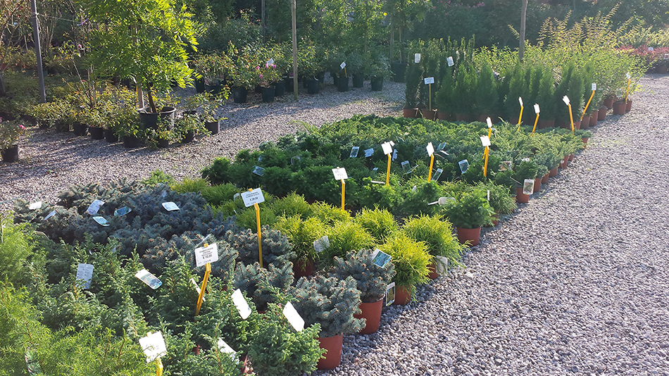 Garden Vivai Marchesan