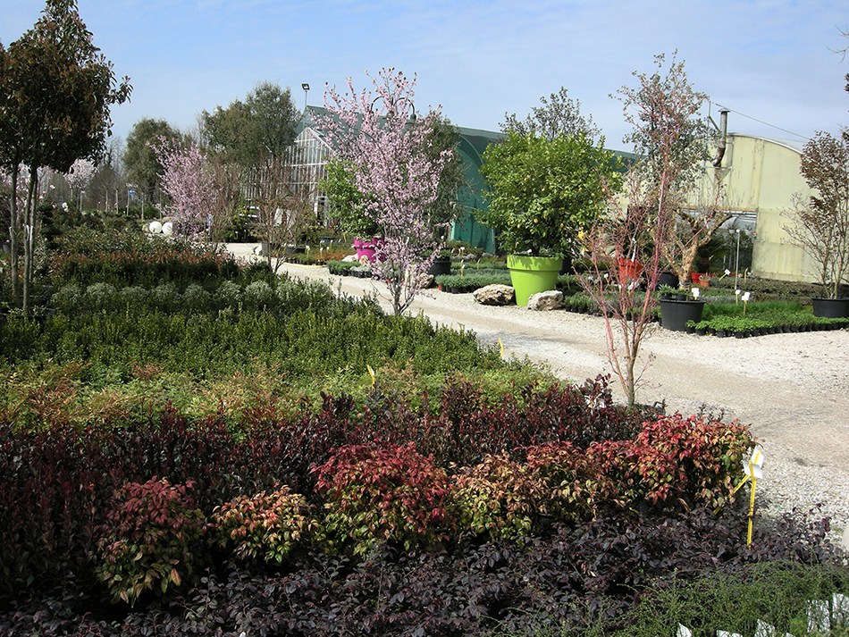 Garden Vivai Marchesan