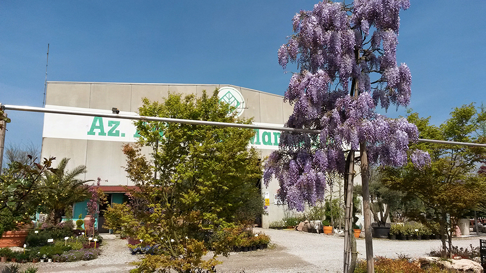 Garden Vivai Marchesan