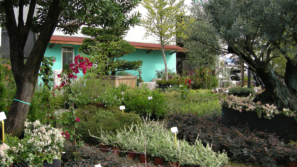 Garden Vivai Marchesan