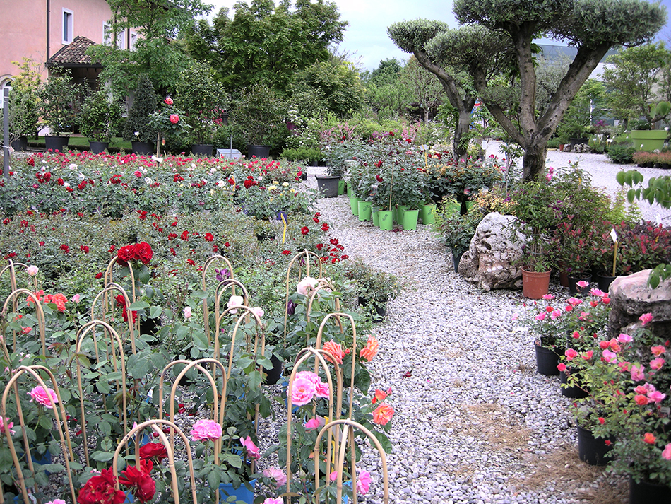 Garden Vivai Marchesan