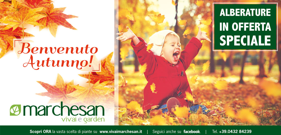 News Vivai Marchesan