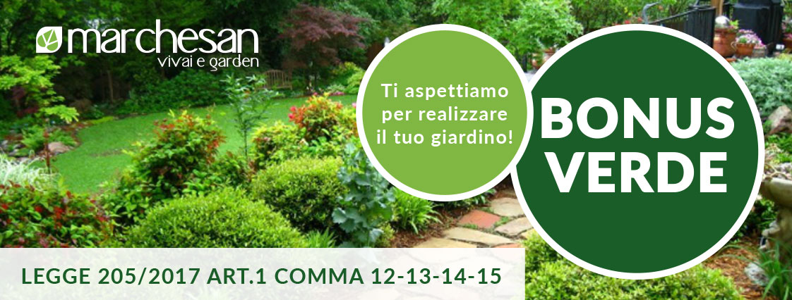 News Vivai Marchesan