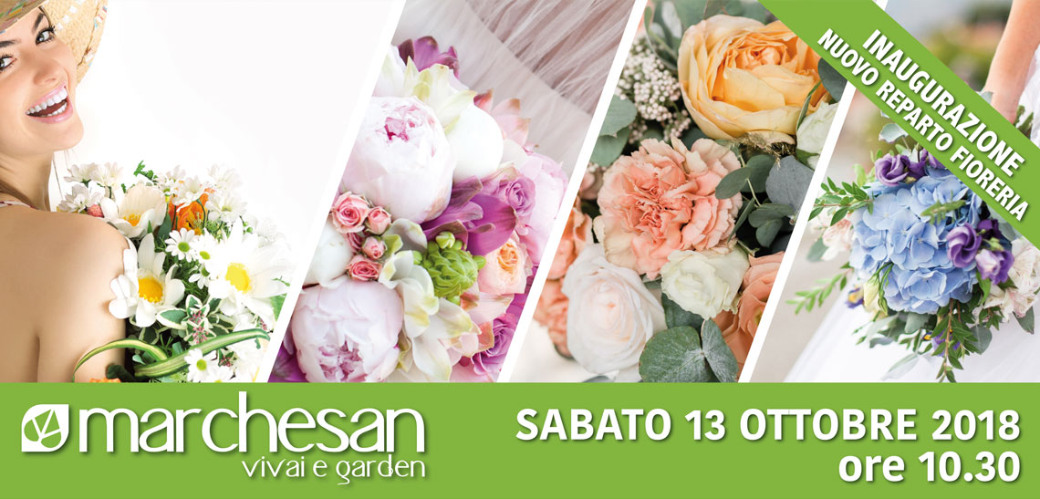 News Vivai Marchesan