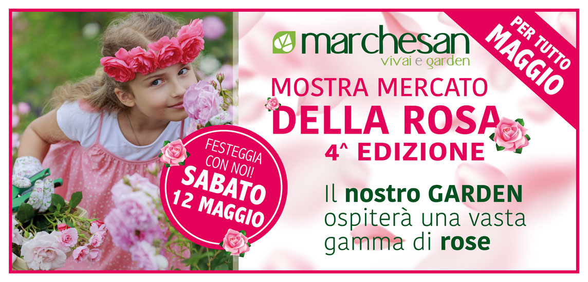 News Vivai Marchesan