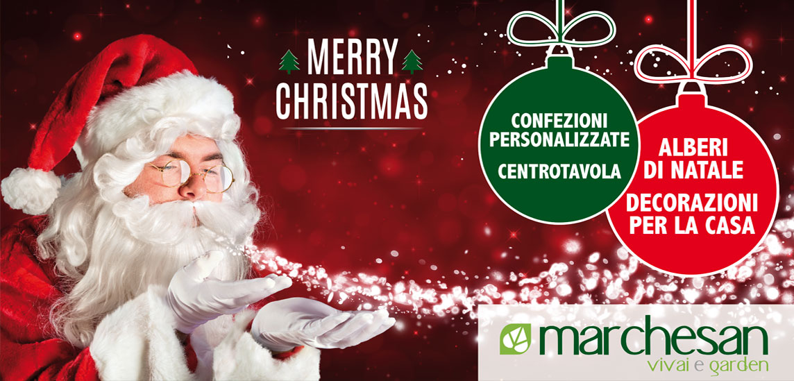 News Vivai Marchesan