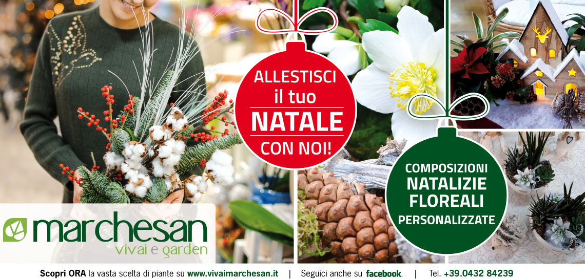 News Vivai Marchesan