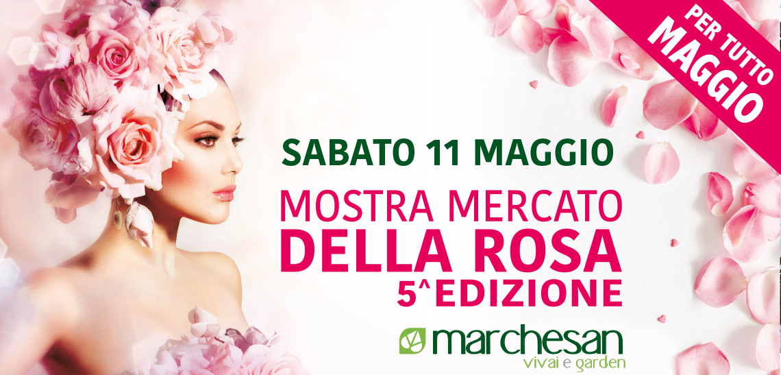 News Vivai Marchesan