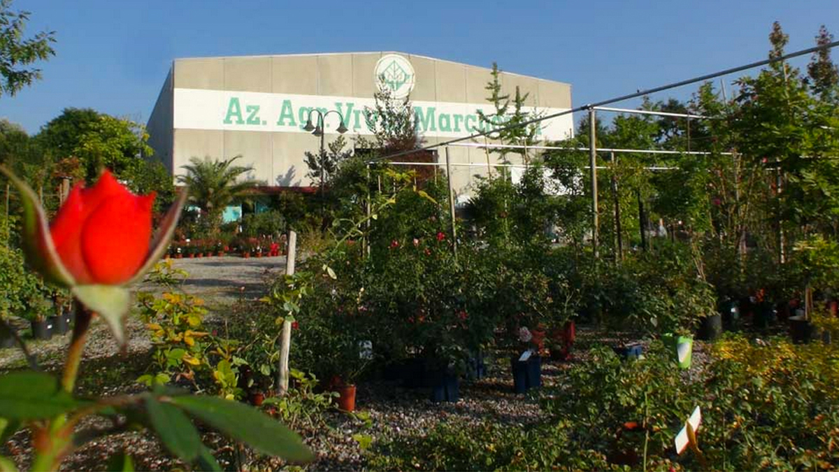 Storia Vivai Marchesan