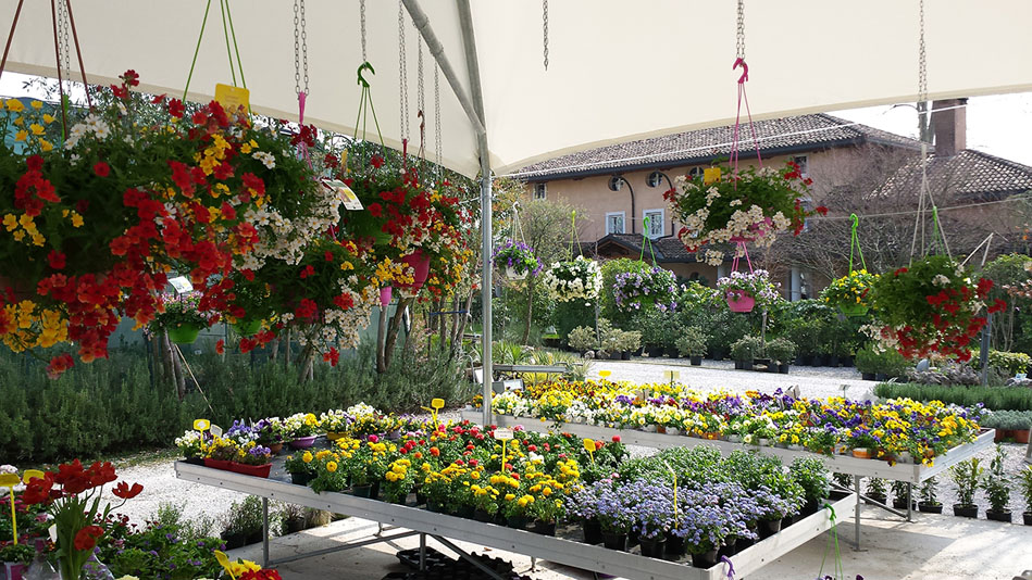 Garden Vivai Marchesan