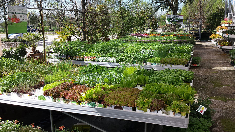 Garden Vivai Marchesan