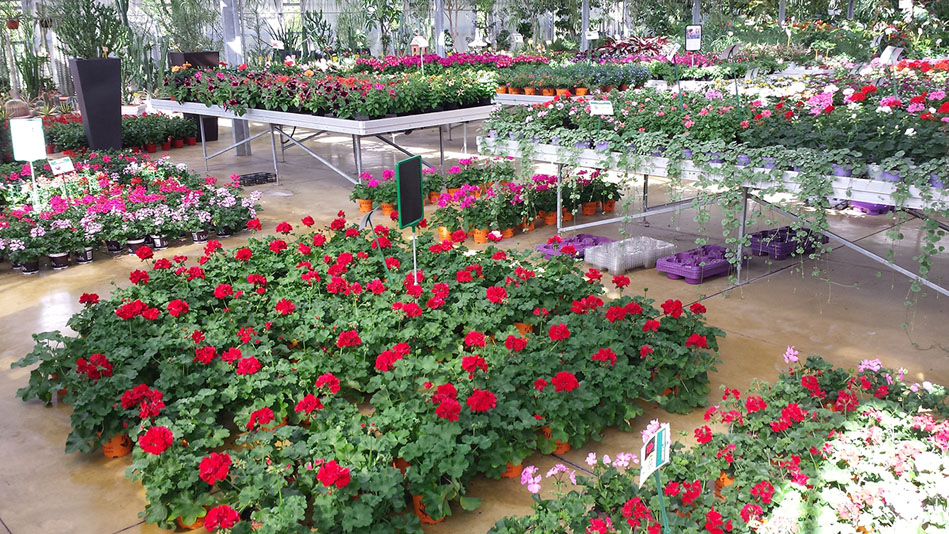 Garden Vivai Marchesan