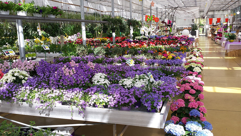 Garden Vivai Marchesan