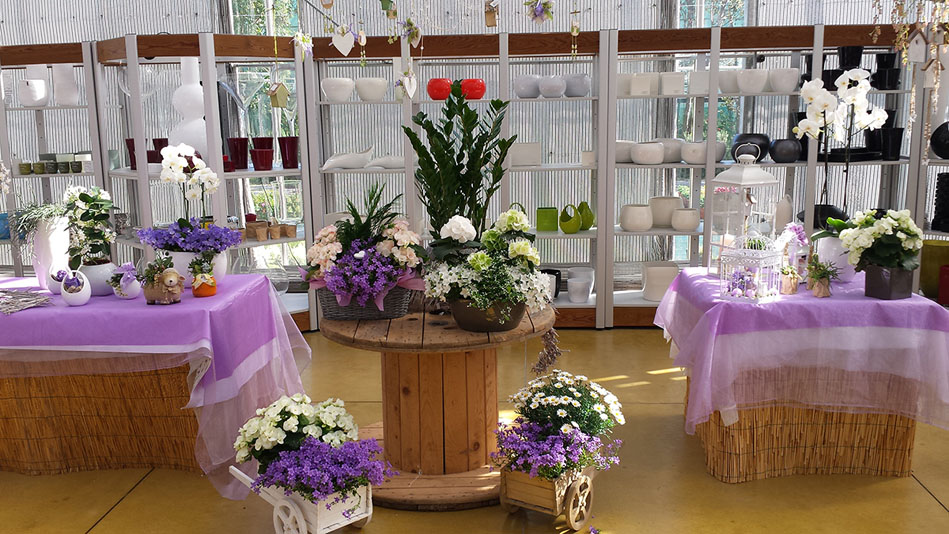 Garden Vivai Marchesan