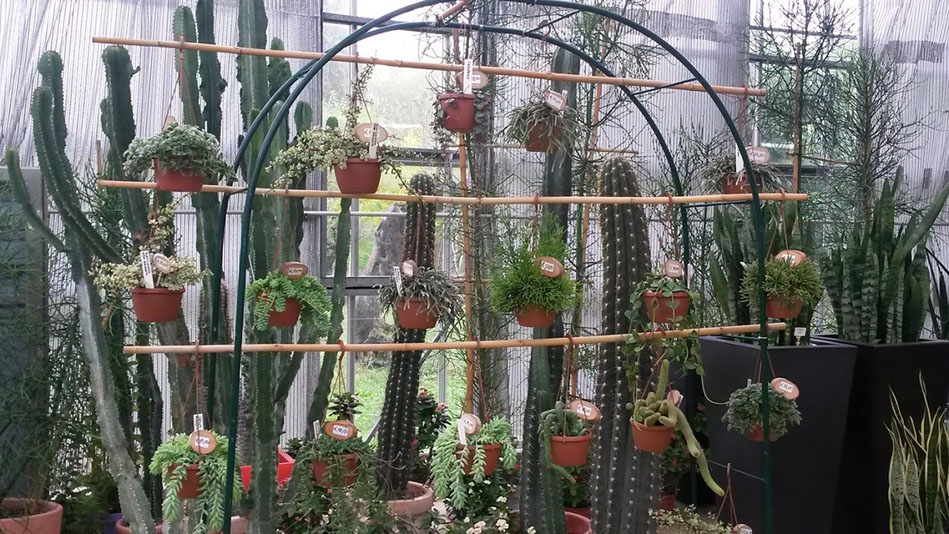 Garden Vivai Marchesan