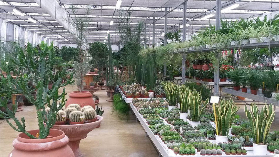 Garden Vivai Marchesan