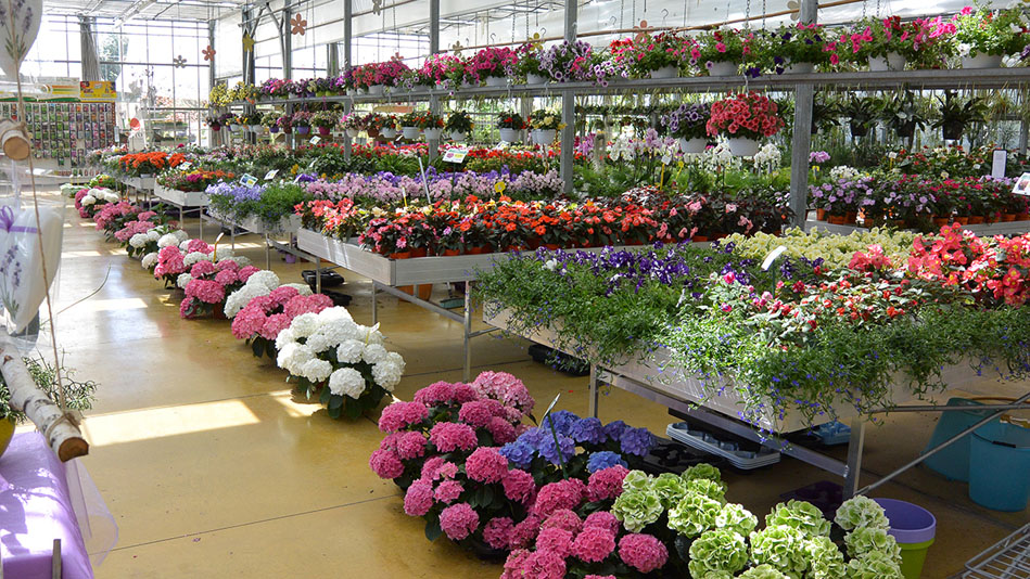 Garden Vivai Marchesan