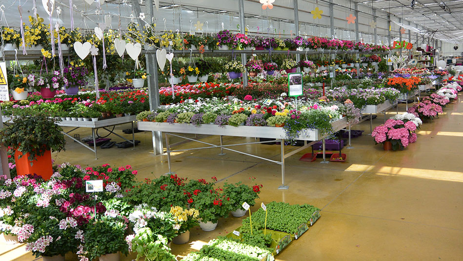 Garden Vivai Marchesan