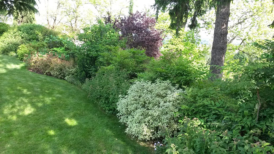 Progettazione Vivai Marchesan