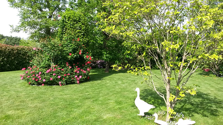 Progettazione Vivai Marchesan