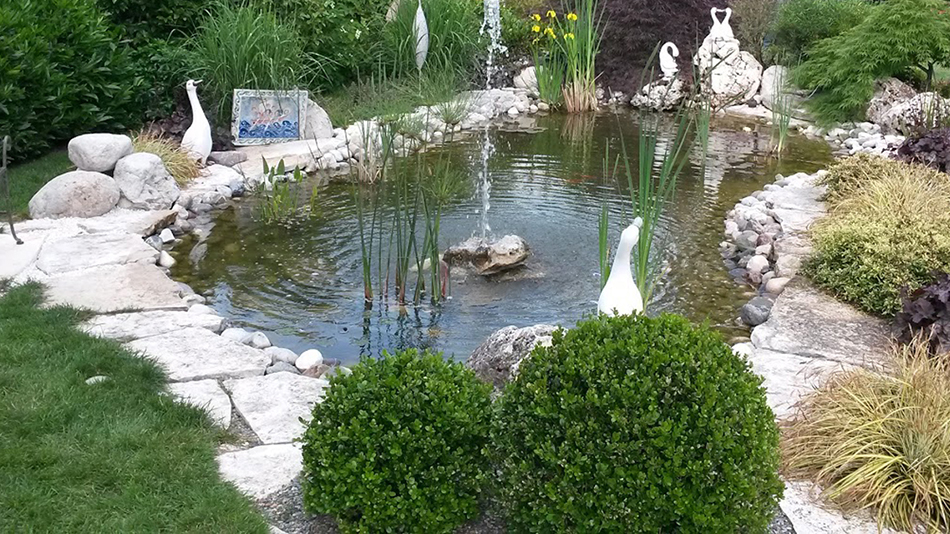 Progettazione Vivai Marchesan