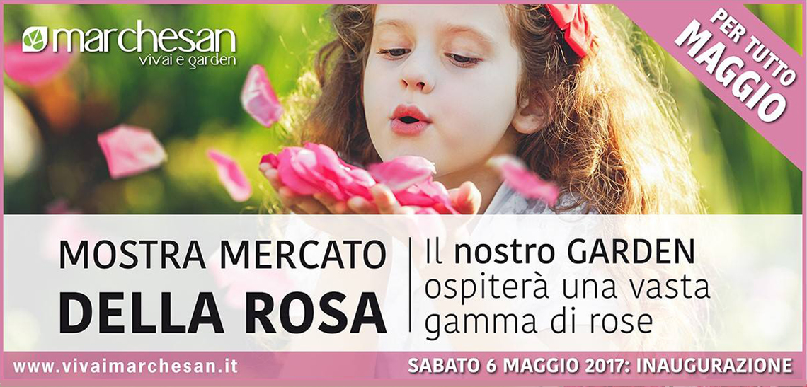 News Vivai Marchesan