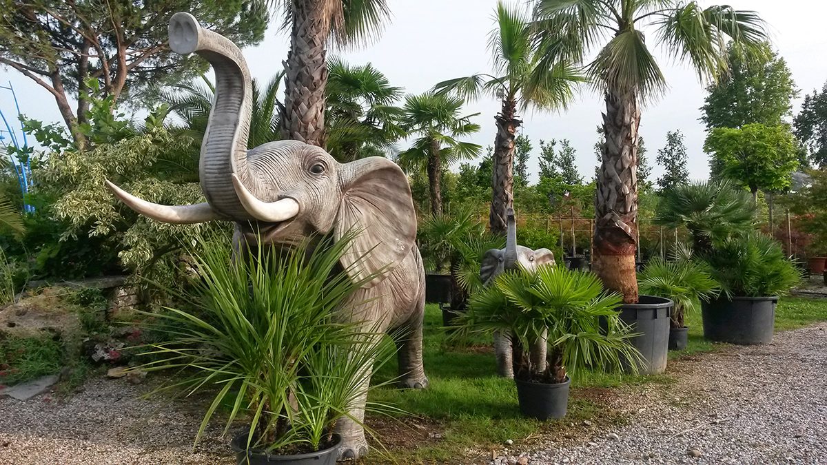 Storia Vivai Marchesan