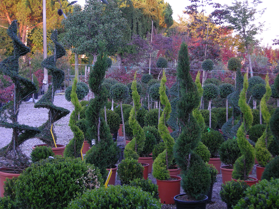 Garden Vivai Marchesan